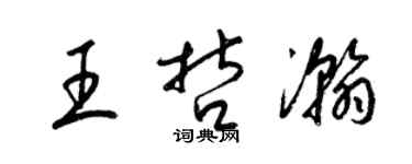 梁錦英王哲瀚草書個性簽名怎么寫