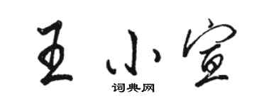 駱恆光王小宣行書個性簽名怎么寫