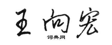 駱恆光王向宏行書個性簽名怎么寫