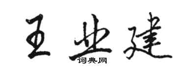 駱恆光王業建行書個性簽名怎么寫