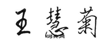 駱恆光王慧菊行書個性簽名怎么寫