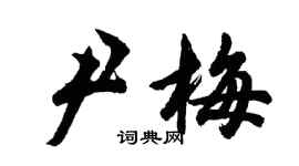 胡問遂尹梅行書個性簽名怎么寫