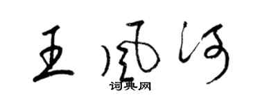 梁錦英王風河草書個性簽名怎么寫