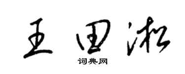 梁錦英王田淞草書個性簽名怎么寫