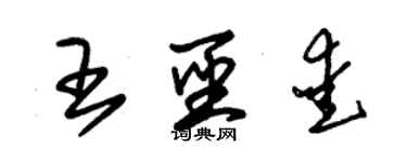 朱錫榮王聖愛草書個性簽名怎么寫