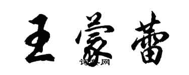 胡問遂王蒙蕾行書個性簽名怎么寫