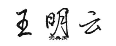 駱恆光王明雲行書個性簽名怎么寫