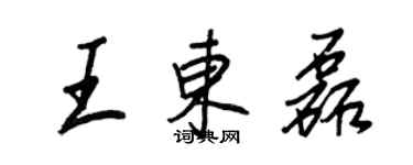 王正良王東磊行書個性簽名怎么寫