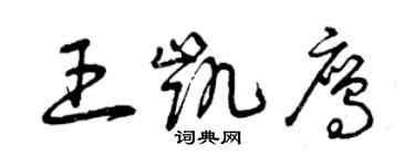 曾慶福王凱鷹草書個性簽名怎么寫