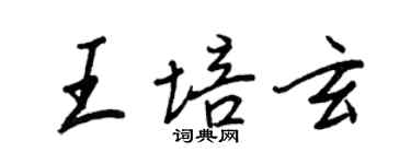 王正良王培玄行書個性簽名怎么寫