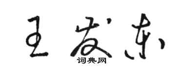 駱恆光王發東草書個性簽名怎么寫