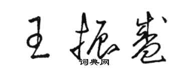 駱恆光王振盛草書個性簽名怎么寫