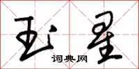 朱錫榮玉星草書怎么寫