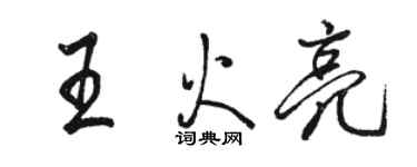 駱恆光王火亮行書個性簽名怎么寫