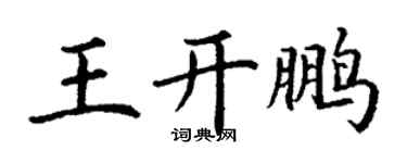 丁謙王開鵬楷書個性簽名怎么寫