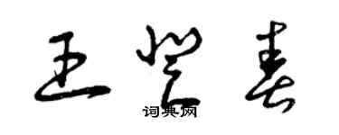 曾慶福王登春草書個性簽名怎么寫