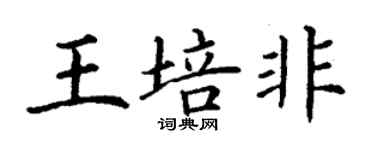 丁謙王培非楷書個性簽名怎么寫