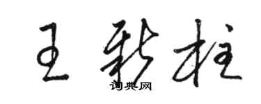 駱恆光王新柱草書個性簽名怎么寫