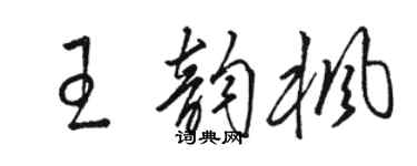 駱恆光王韻楓草書個性簽名怎么寫