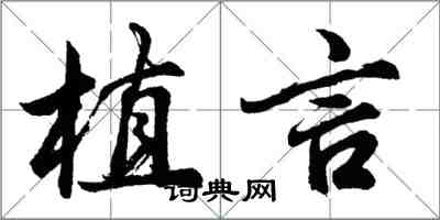 胡問遂植言行書怎么寫