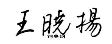 王正良王曉揚行書個性簽名怎么寫