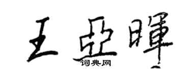 王正良王亞暉行書個性簽名怎么寫