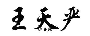 胡問遂王天嚴行書個性簽名怎么寫