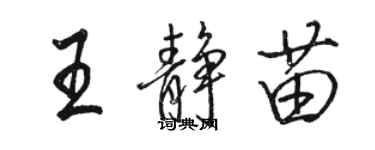 駱恆光王靜苗行書個性簽名怎么寫