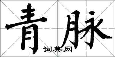 翁闓運青脈楷書怎么寫