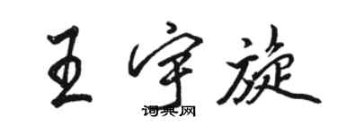 駱恆光王宇旋行書個性簽名怎么寫