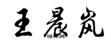 胡問遂王晨嵐行書個性簽名怎么寫