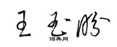 駱恆光王玉盼草書個性簽名怎么寫