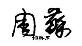 朱錫榮周蘇草書個性簽名怎么寫