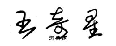 朱錫榮王奇星草書個性簽名怎么寫