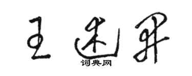 駱恆光王述開草書個性簽名怎么寫