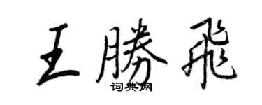 王正良王勝飛行書個性簽名怎么寫