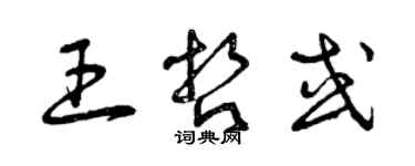 曾慶福王哲或草書個性簽名怎么寫