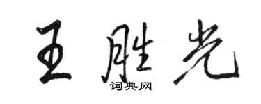 駱恆光王勝光行書個性簽名怎么寫