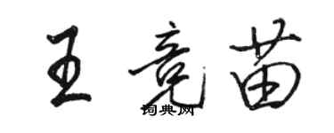 駱恆光王競苗行書個性簽名怎么寫