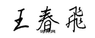 王正良王春飛行書個性簽名怎么寫