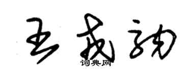 朱錫榮王戎駒草書個性簽名怎么寫