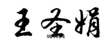 胡問遂王聖娟行書個性簽名怎么寫