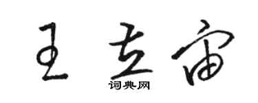 駱恆光王立宙草書個性簽名怎么寫