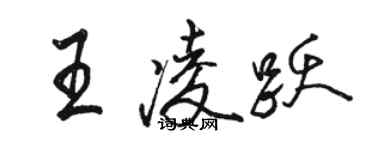 駱恆光王凌躍行書個性簽名怎么寫