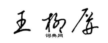 梁錦英王柳屏草書個性簽名怎么寫