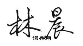 駱恆光林晨行書個性簽名怎么寫