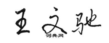 駱恆光王文馳行書個性簽名怎么寫