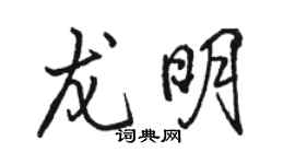 駱恆光龍明行書個性簽名怎么寫