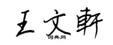 王正良王文軒行書個性簽名怎么寫
