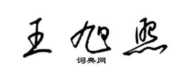 梁錦英王旭照草書個性簽名怎么寫